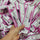 Boric acid gel